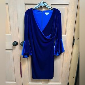 Royal blue velour v-neck dress with dramatic sleeves. Never worn!
